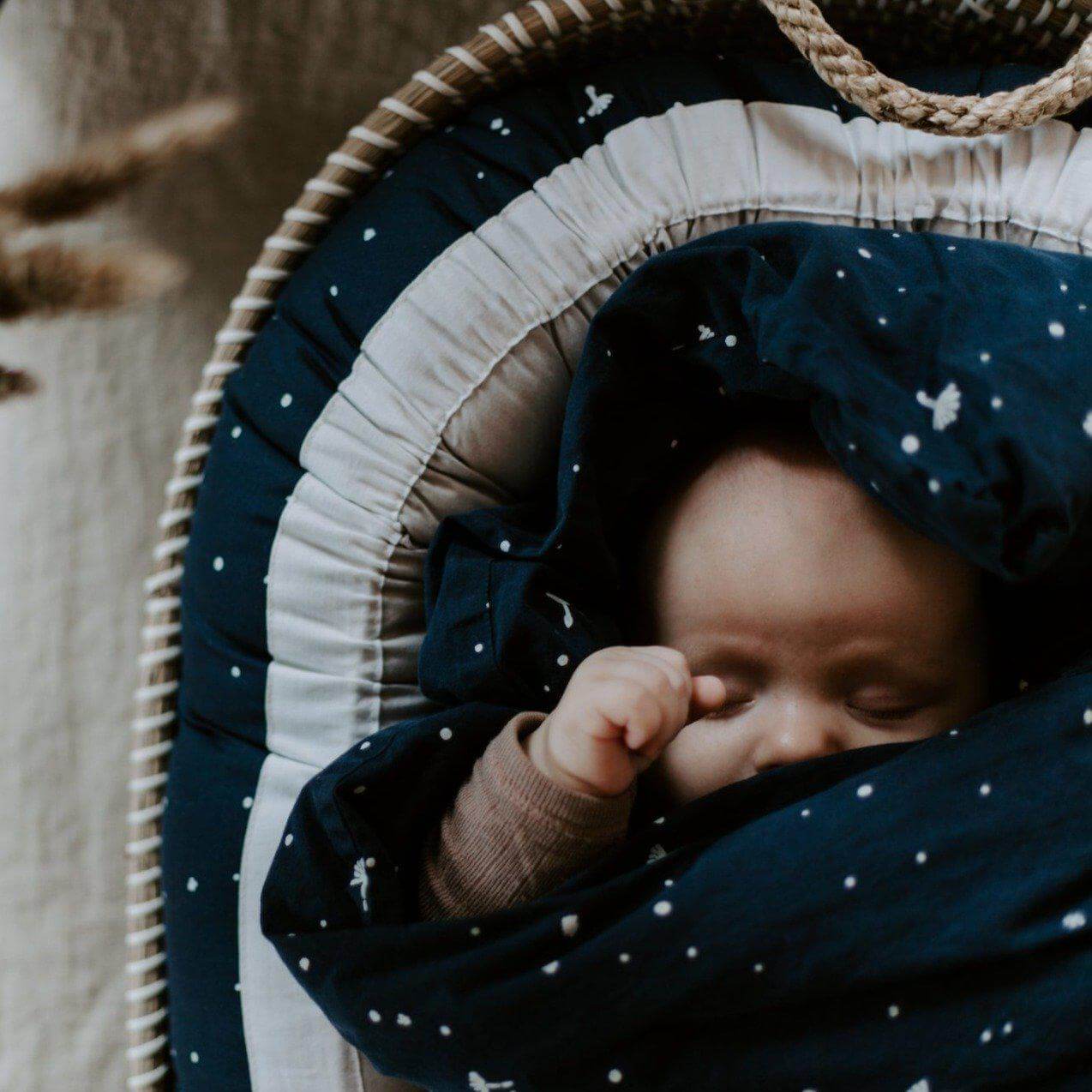 Fryse Mos Vedhæft til Babynest: 7 populære og fantastiske babynest i 2022 [Den ultimative guide]